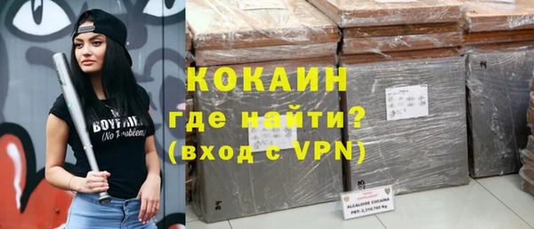 бошки Алексин