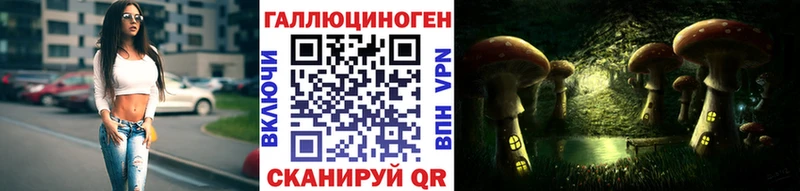 Псилоцибиновые грибы Magic Shrooms  наркота  Щёлкино 