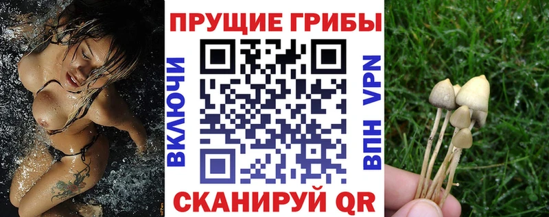 Псилоцибиновые грибы MAGIC MUSHROOMS Щёлкино
